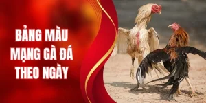 Bảng Màu Mạng Gà Đá Theo Ngày - Chọn Gà Hợp Ngày Chuẩn Xác