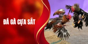 Đá Gà Cựa Sắt - Khám Phá Lối Chơi Tốc Độ Cao Đầy Kịch Tính
