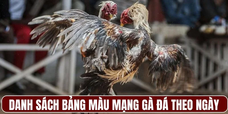 Danh sách bảng màu mạng gà đá theo ngày