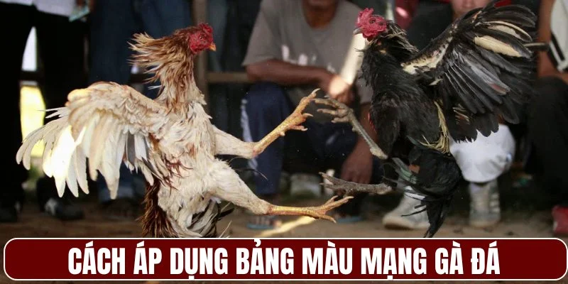 Hướng dẫn cách áp dụng bảng màu mạng gà đá